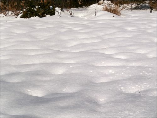 Watr paipnt snow blog Watr paipnt snow blog
