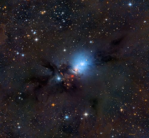 Stardust blog