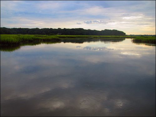 Marsh blog