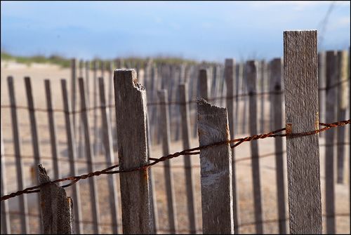 Slats80 blog