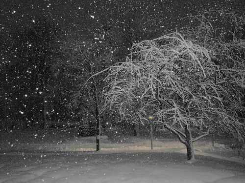 Snow balto2014 blog