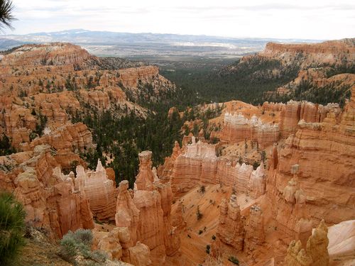 Bryce canyn blogpc