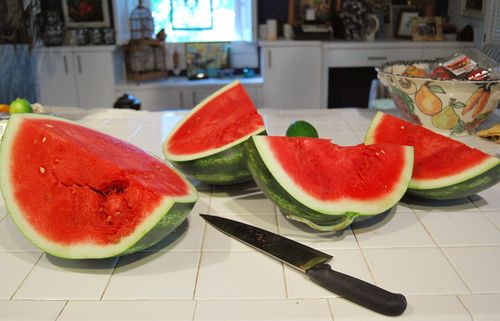 Wwtr melon253blog2