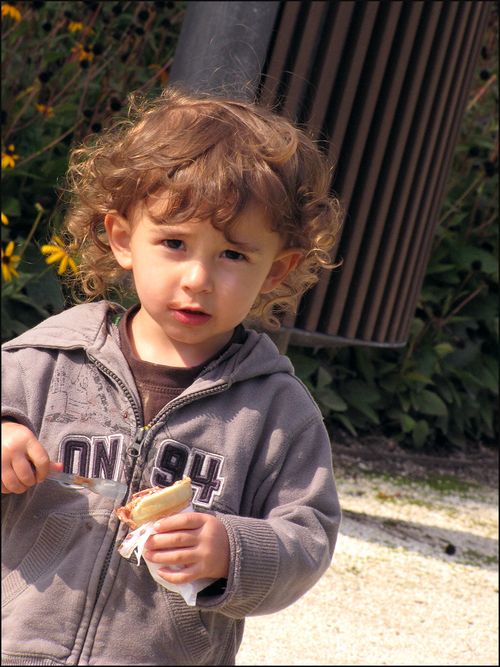 Aden godoicecrm1367 blog