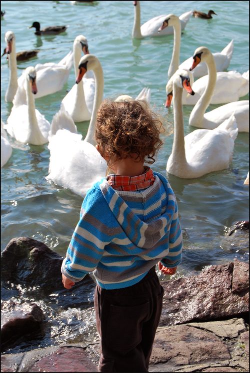 Adenswans0488 blog