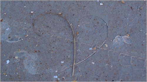 Heart 11.11