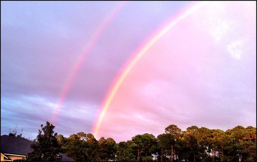 Rainbowblog Rainbowblog