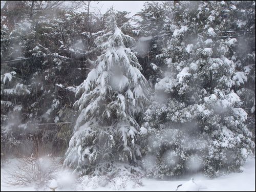 Snow balto14 blog Snow balto14 blog