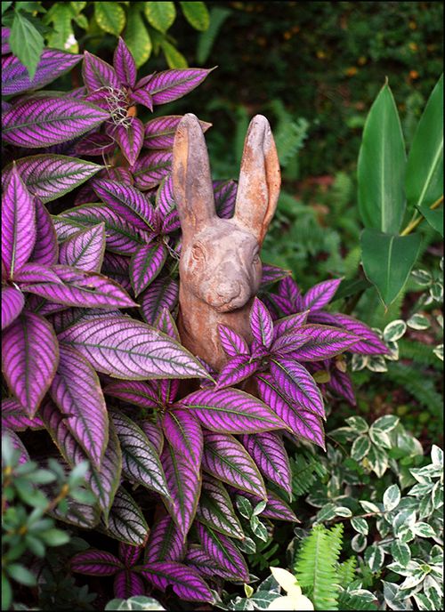 Rabit sit cj blog