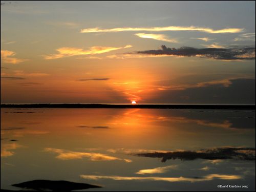 David sunrise 07.2015