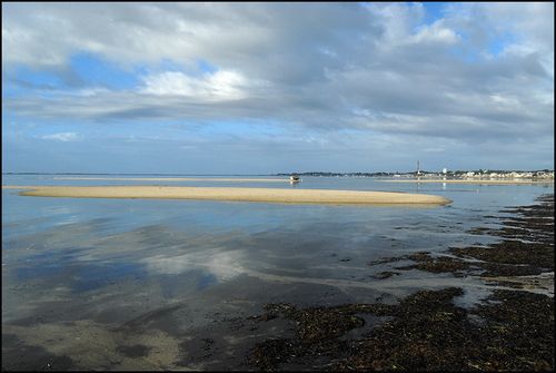 Ptown bluebech0159 blog