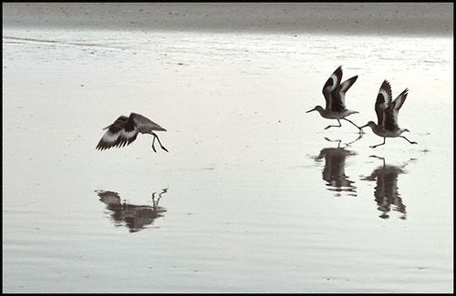 3sandlngs blog