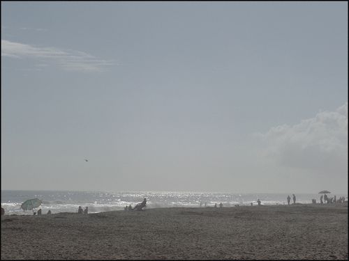 Fog bech12.30