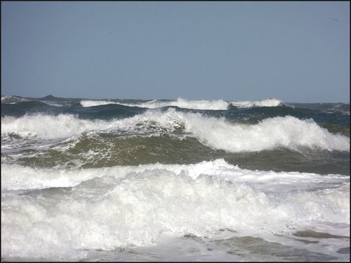 Wild ocean04.17