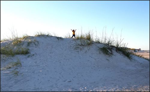 King of hill 4.4