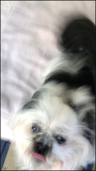 Cece2.17.1629