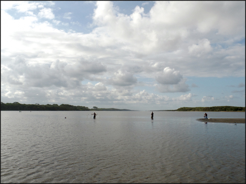 Guanatlmtofishng5.7