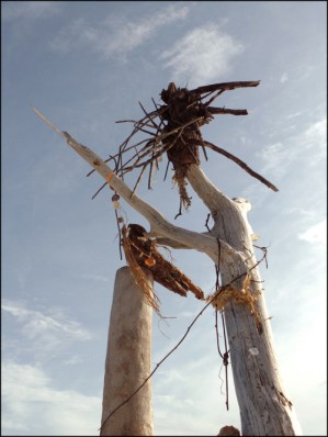 Art bech8.3