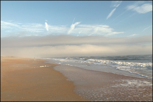 Vllnfog12.19