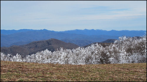 2018-04-08top of bald blog