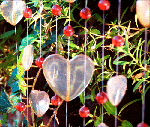 Hearts-lhkc Hearts-lhkc