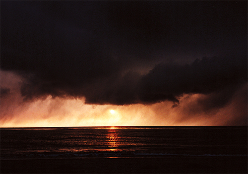 2020.4.411Dark-Sky