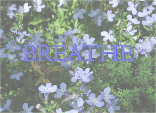 11.3.2020breathe blog