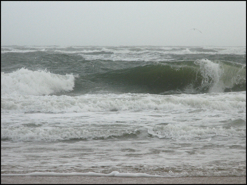 Wild waves11.09