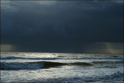 God49 blog
