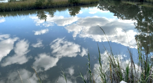 20211229_upside down blog39