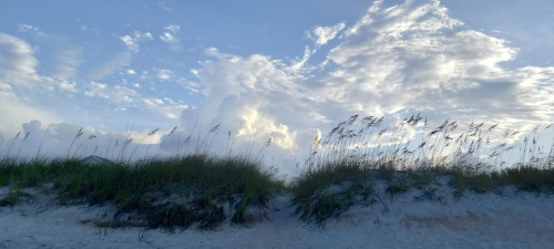 20220726_sea oats blog27 2