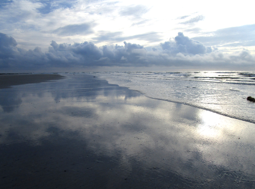 Bech blog 9.15.22 blog