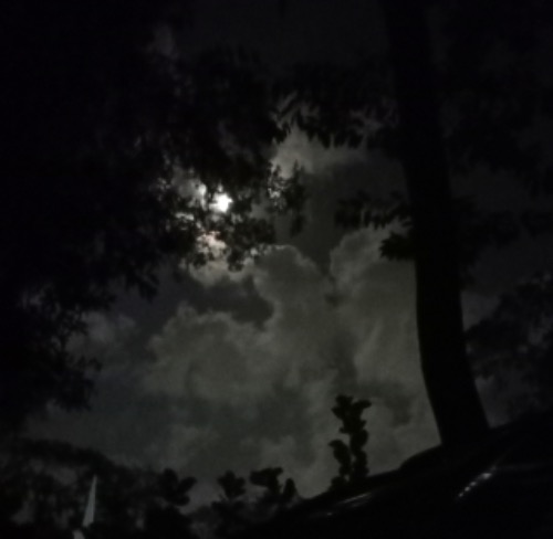 20240816_moonlight